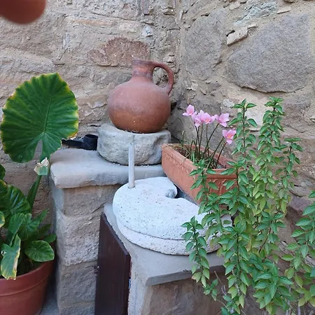 Niovi House