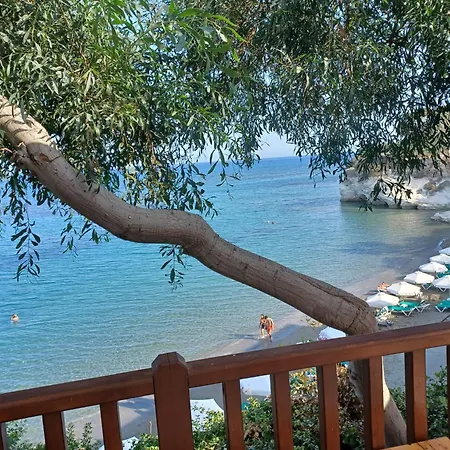 Apartamento Niovi House *